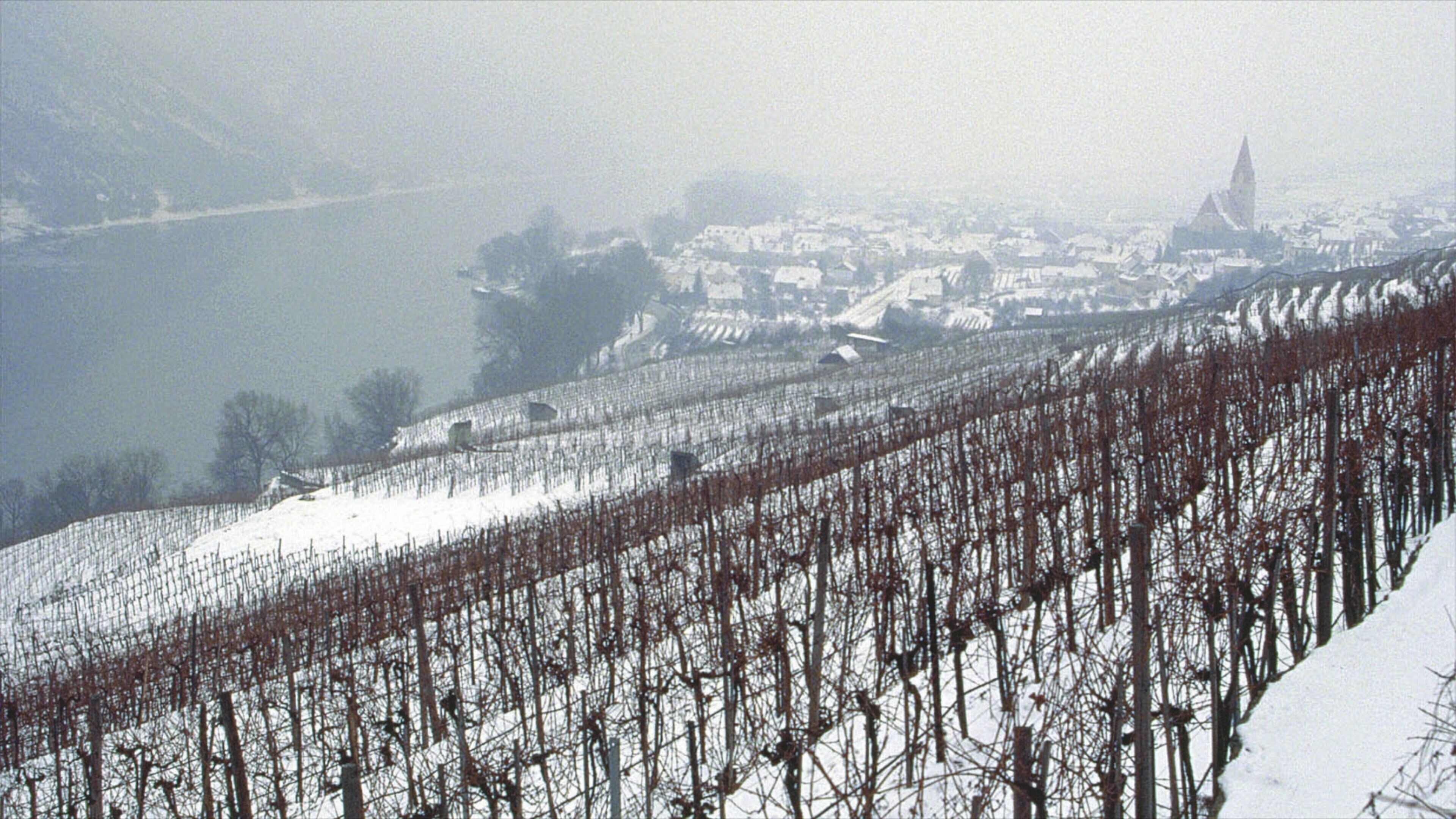 Weissenkirchen in der Wachau que incluye un pueblo, tierra de cultivo y nieve