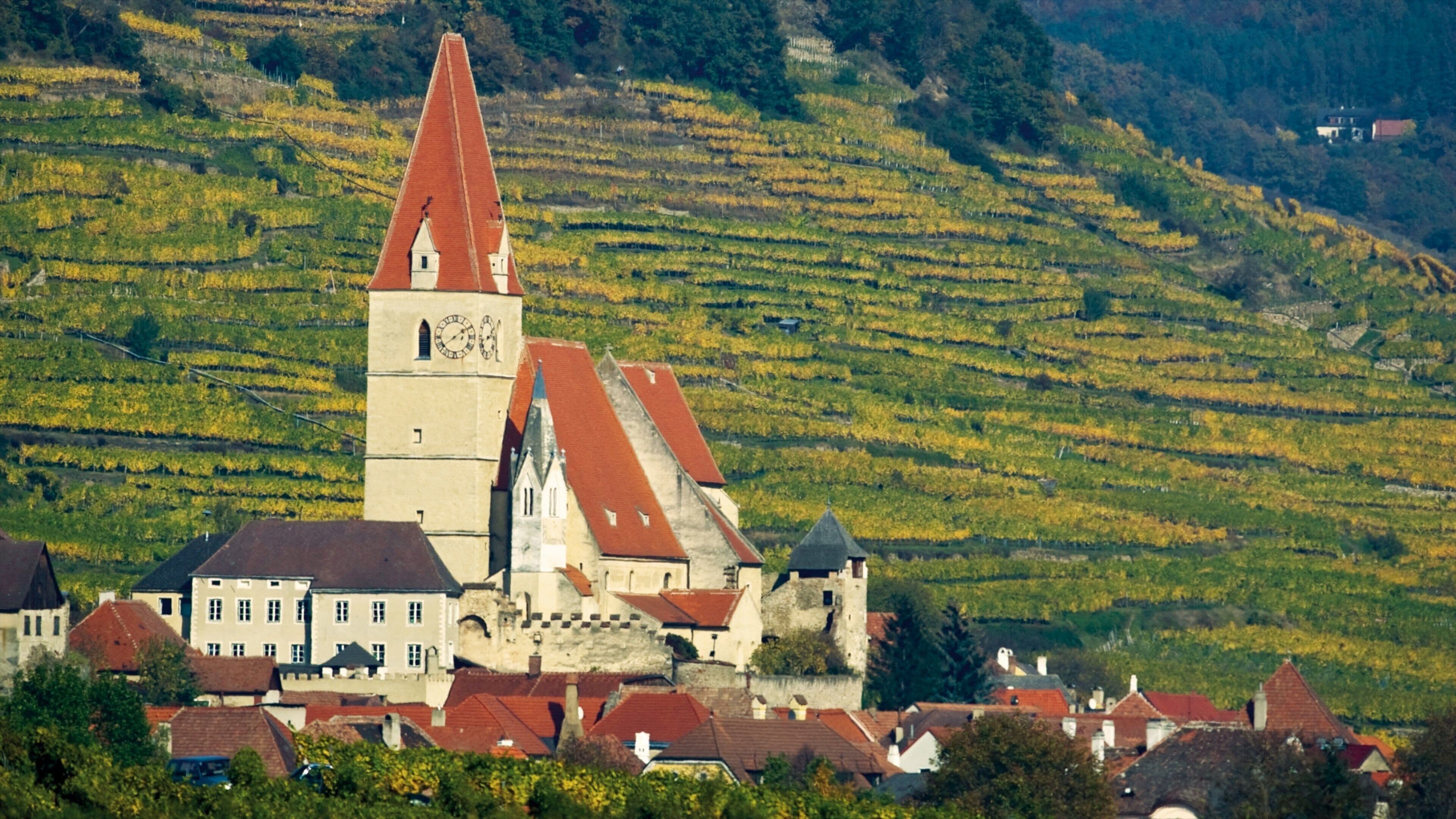 A church with a tall tower and a vineyard in the background.