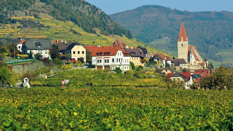 Weissenkirchen in der Wachau which includes farmland, a small town or village and tranquil scenes