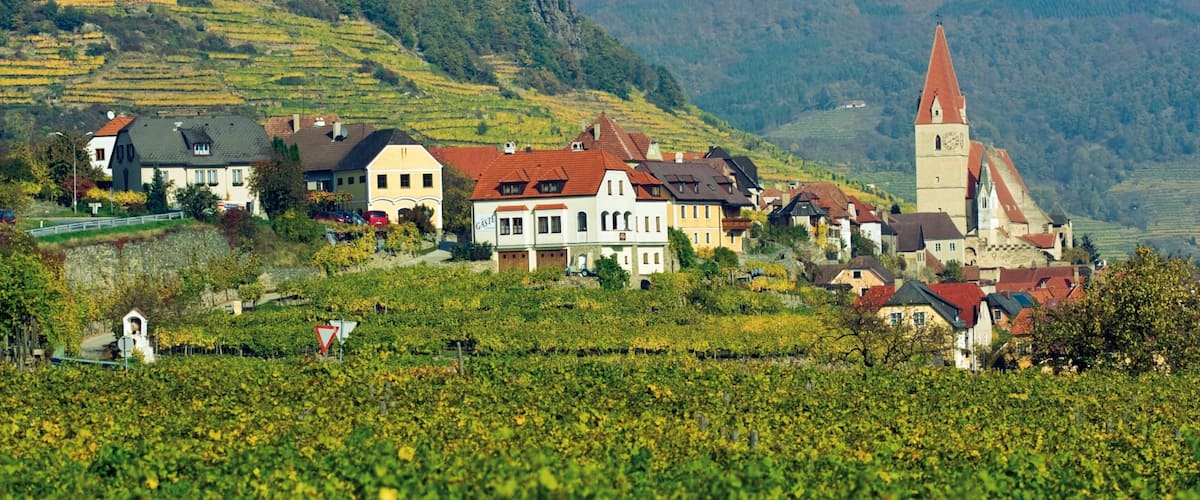 A village with vineyards, houses, and a church tower.