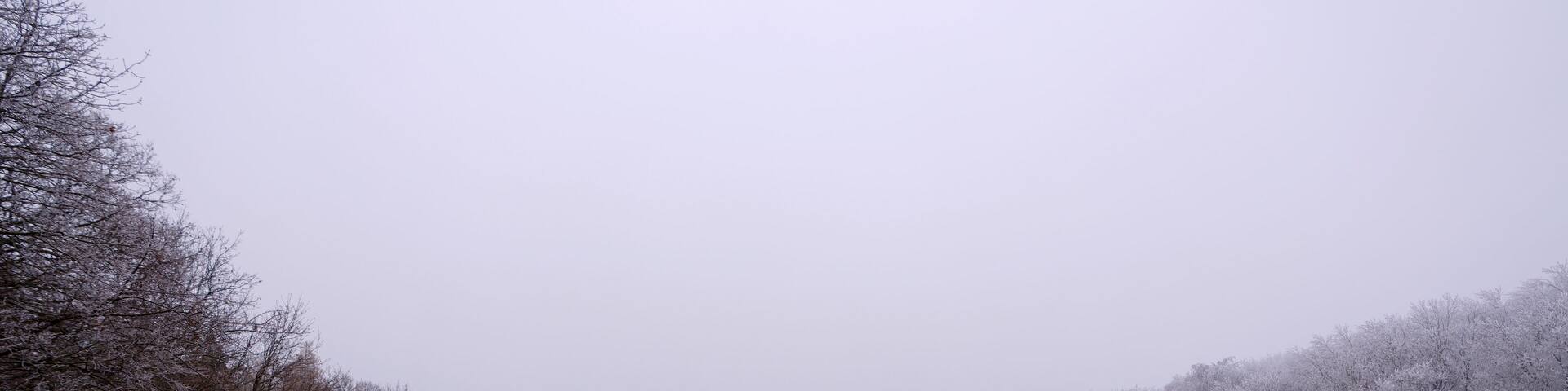 Winterlandschaft im Wienerwald, Niederösterreich