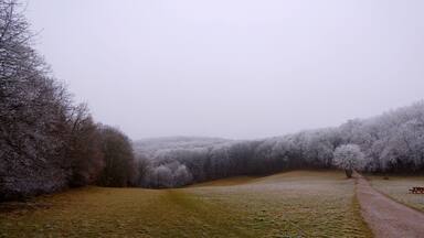 Winterlandschaft im Wienerwald, Niederösterreich