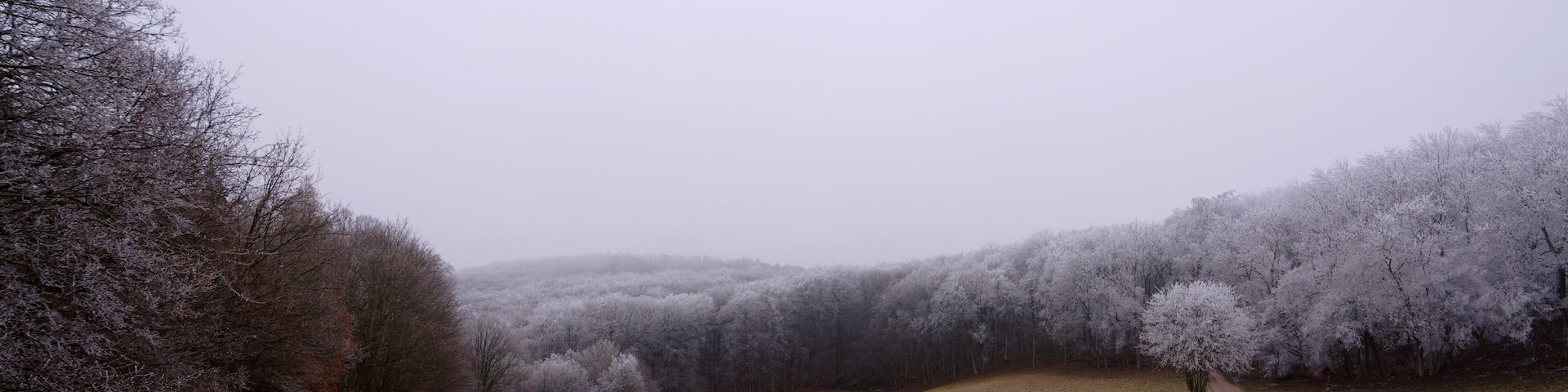 Winterlandschaft im Wienerwald, Niederösterreich