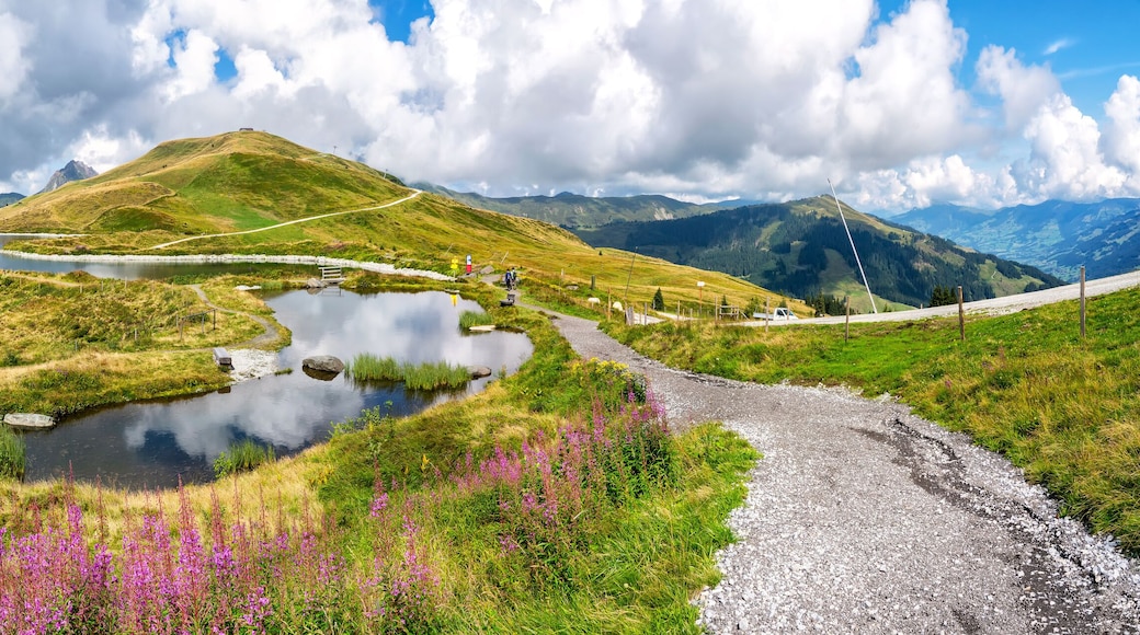 View of the magnificent summits and the pristine beauty of the Kitzbüheler alps.
