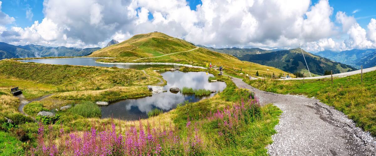 A mountain landscape with a lake, a winding path, and purple flowers.