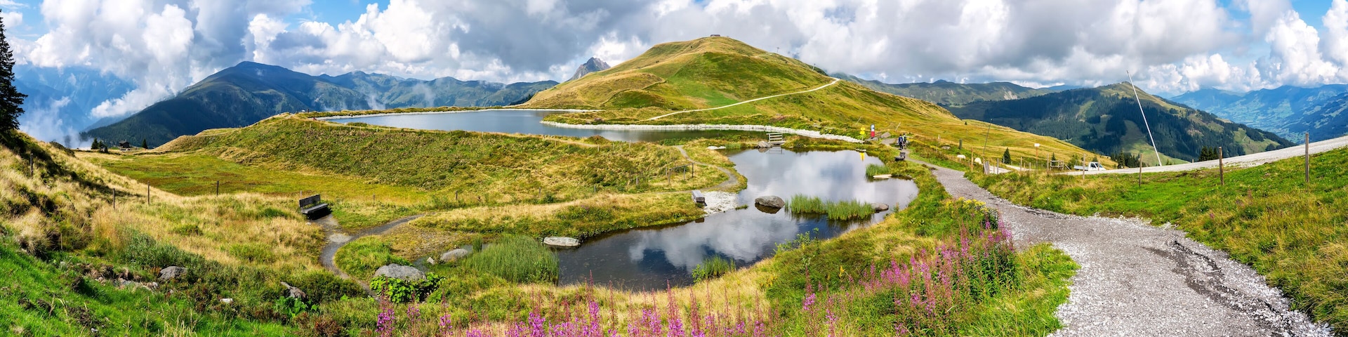 A mountain landscape with a lake, a winding path, and purple flowers.