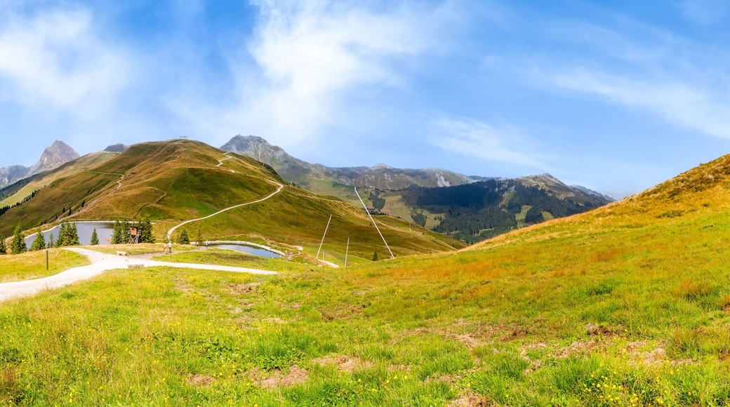 View of the magnificent summits and the pristine beauty of the Kitzbüheler alps.