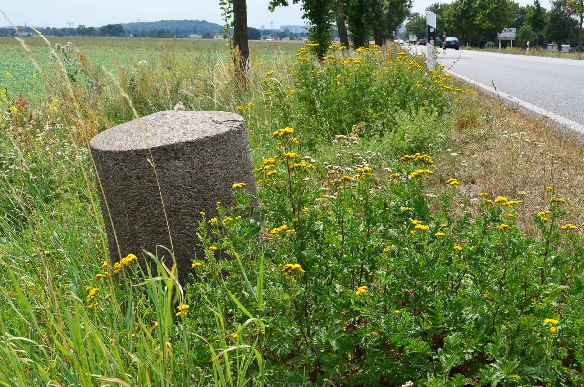 Cultural heritage monument 09175015 „Meilenstein (Rundsockelstein), bei km 50,54" at de:Bundesstraße 158, north of de:Ahrensfelde in the district of en:Barnim, in en:Brandenburg, Germany
