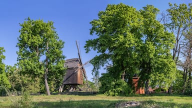 Een klassieke windmolen, omringd door weelderige groene bomen en een helderblauwe lucht.