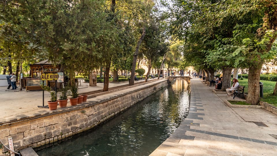 A canal lined with trees and benches in a park.