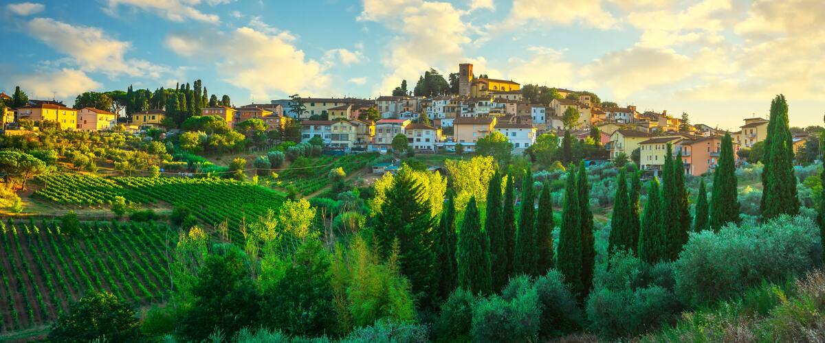A hillside town with terraced vineyards and a prominent tower.
