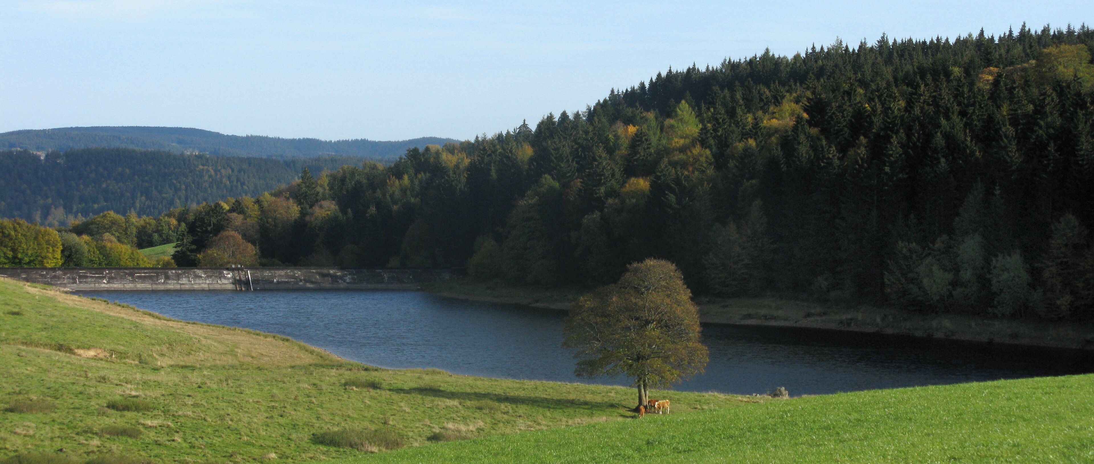 Plattensee, reservoir of the Zweribach
