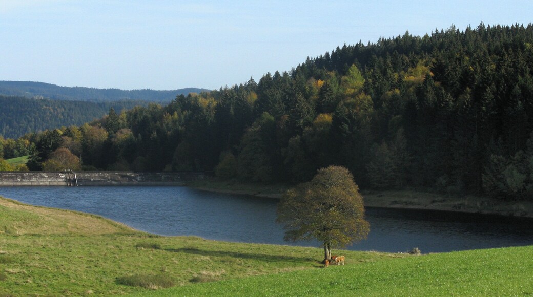 Plattensee, reservoir of the Zweribach
