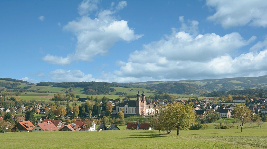 Sankt Peter im Schwarzwald,Breisgau,Baden-Württemberg,Deutschland