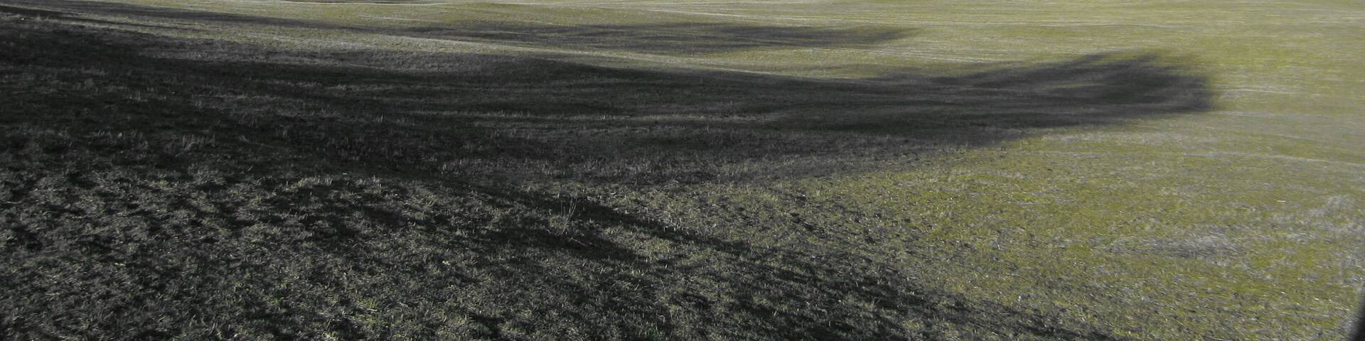 pratoni del vivaro centro equestre