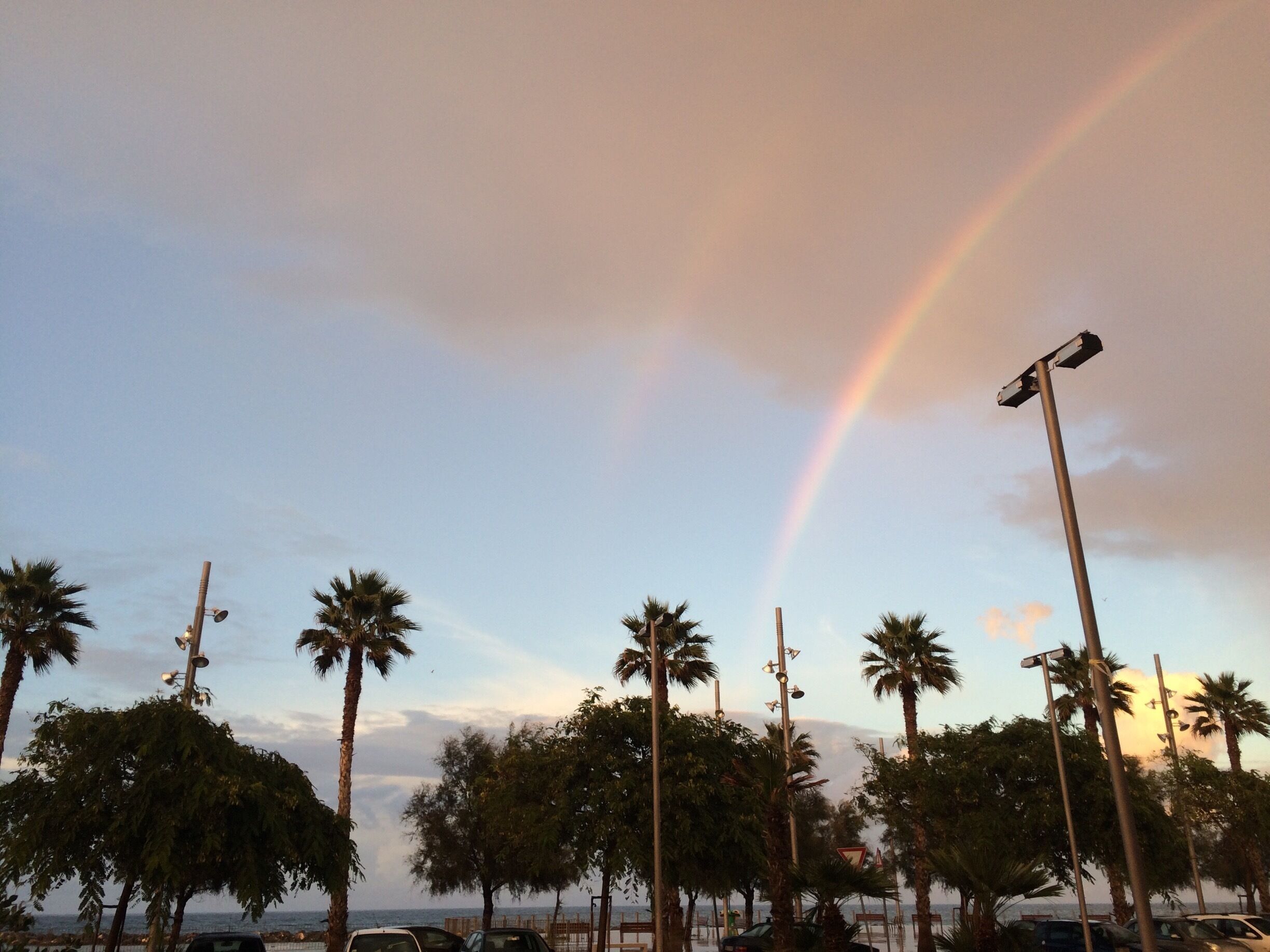 Lungomare di Mola di Bari 🌈🌴
#SouthItaly #Apulia