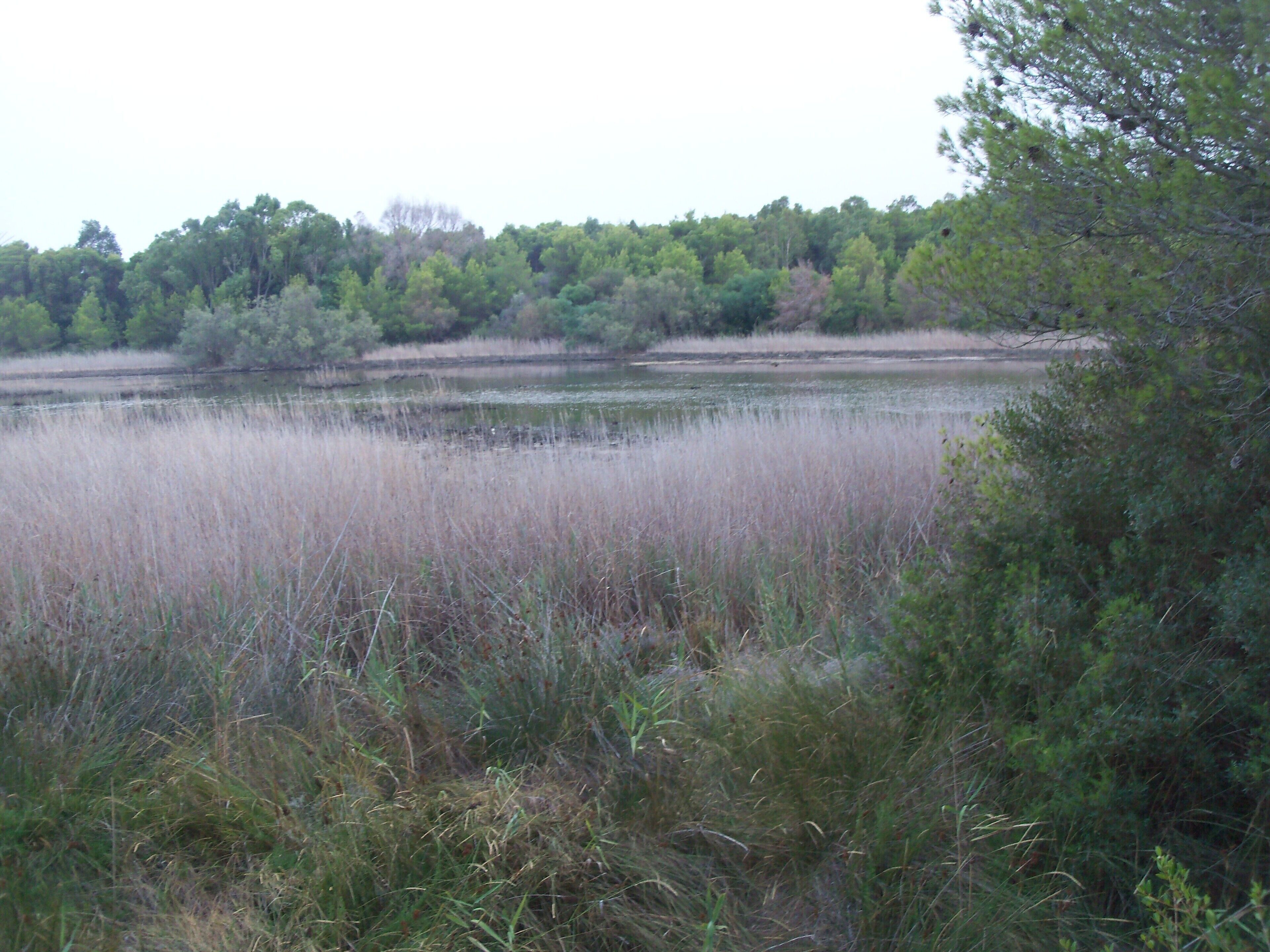 View of Salinella Lake from North side