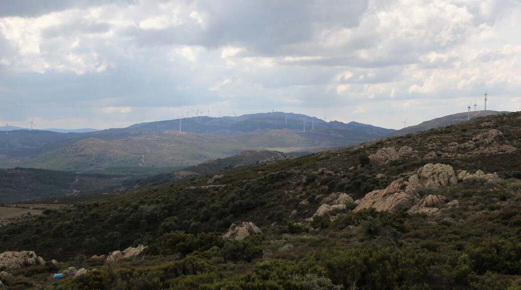 Alà dei Sardi - Buddusò - Parco eolico