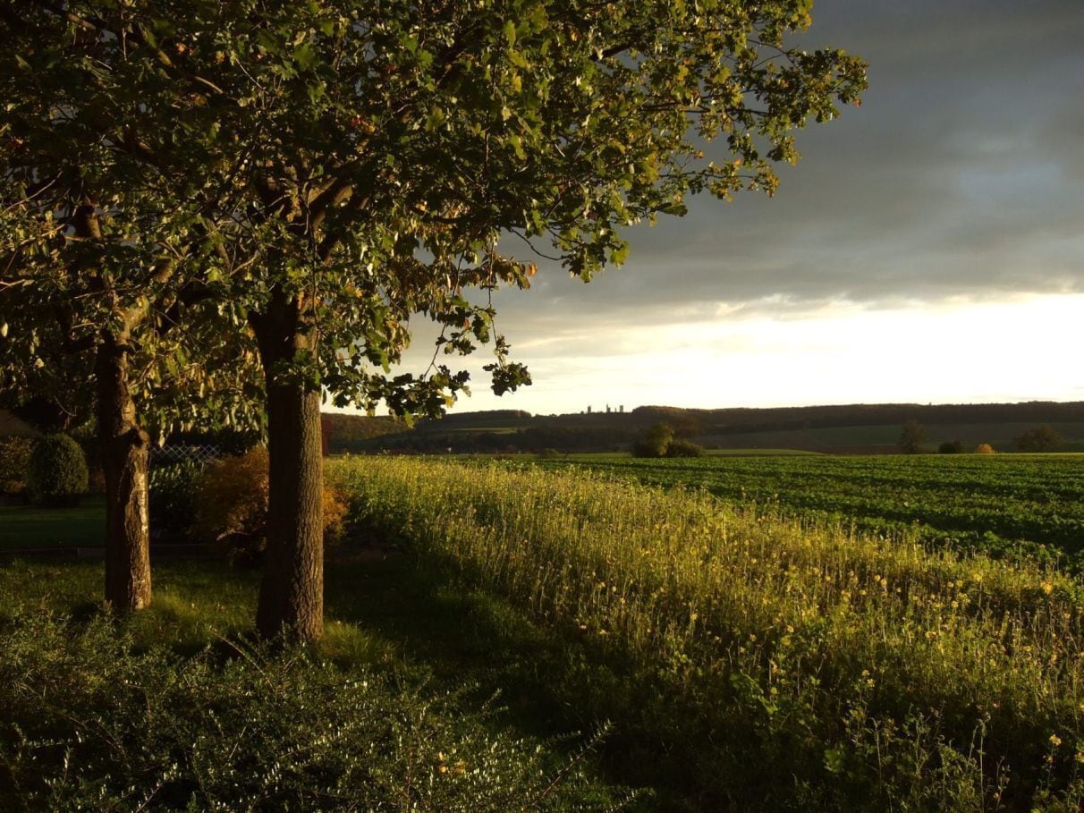 Felder in Katlenburg