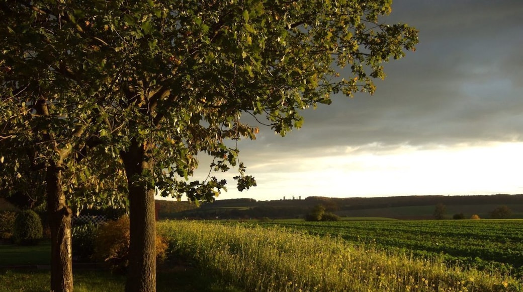 Felder in Katlenburg