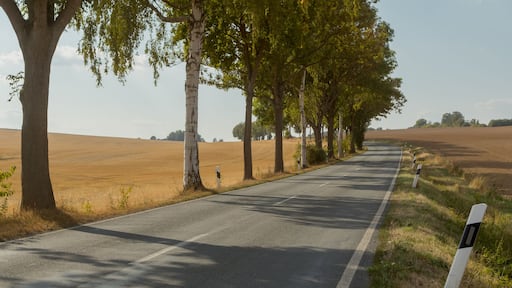 Road through rural landscape, Bad Sachsa, Gottingen, Lower Saxony, Germany