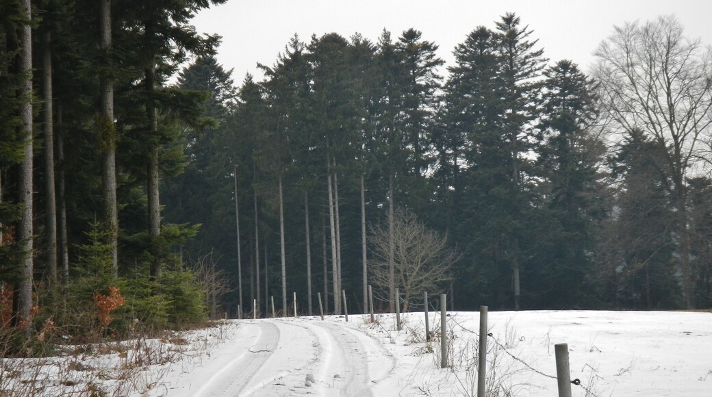 Schnee im April auf der Hochebene in der Nähe von Dürrenmettstetten