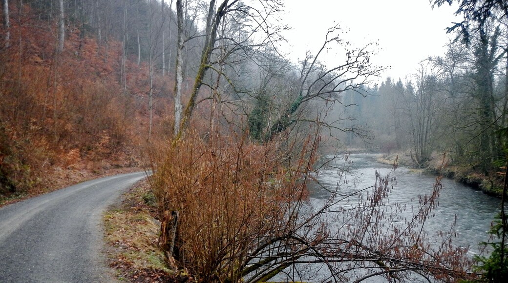 Ausblick vom 366 km langen Neckartalradweg