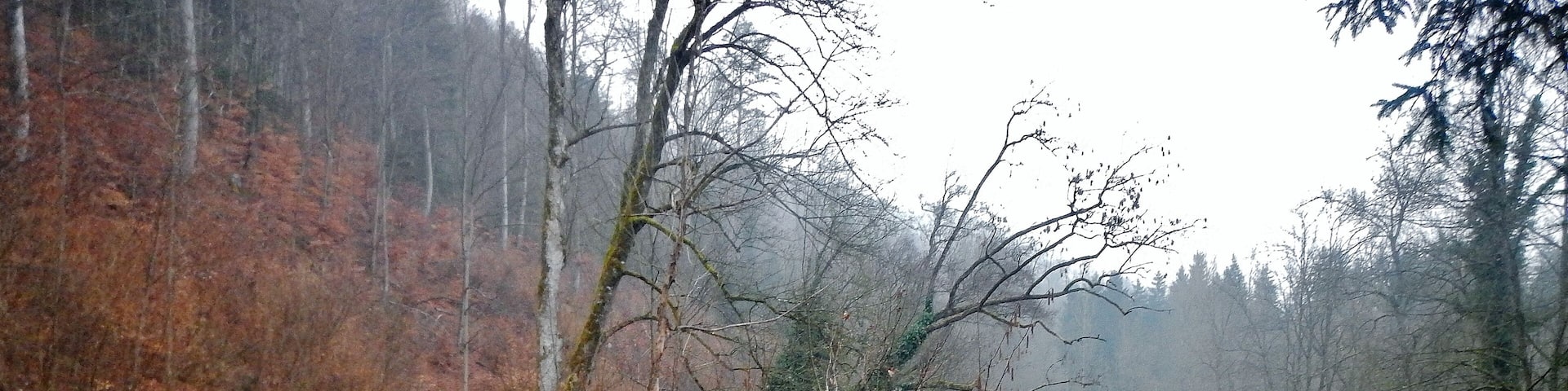 Ausblick vom 366 km langen Neckartalradweg