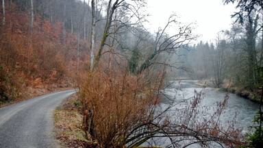 Ausblick vom 366 km langen Neckartalradweg
