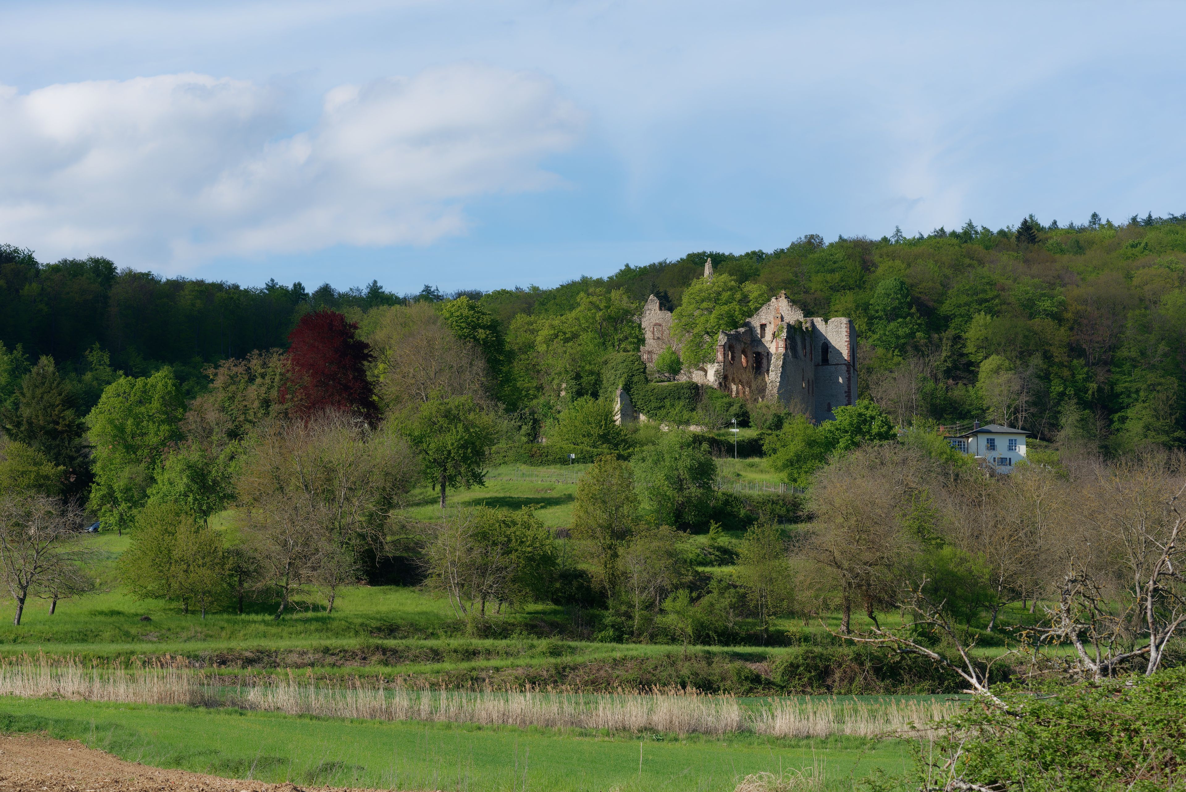 Teningen