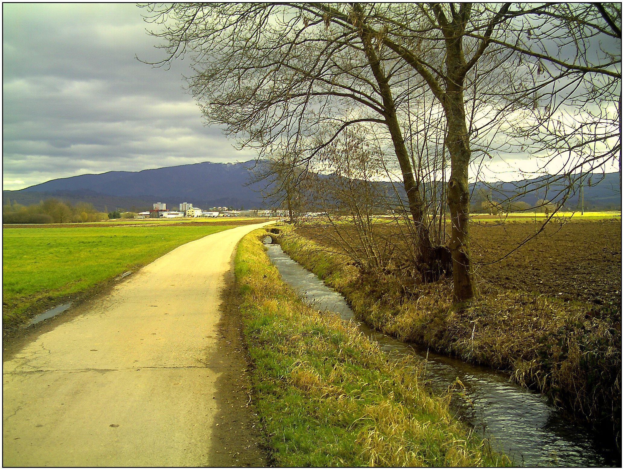 February Frühling Südwest Pastell Color - Master Landscape Rhine Valley 2014 Grand Cigogne blanc arrivee Ankunft des Großen Weißstorch