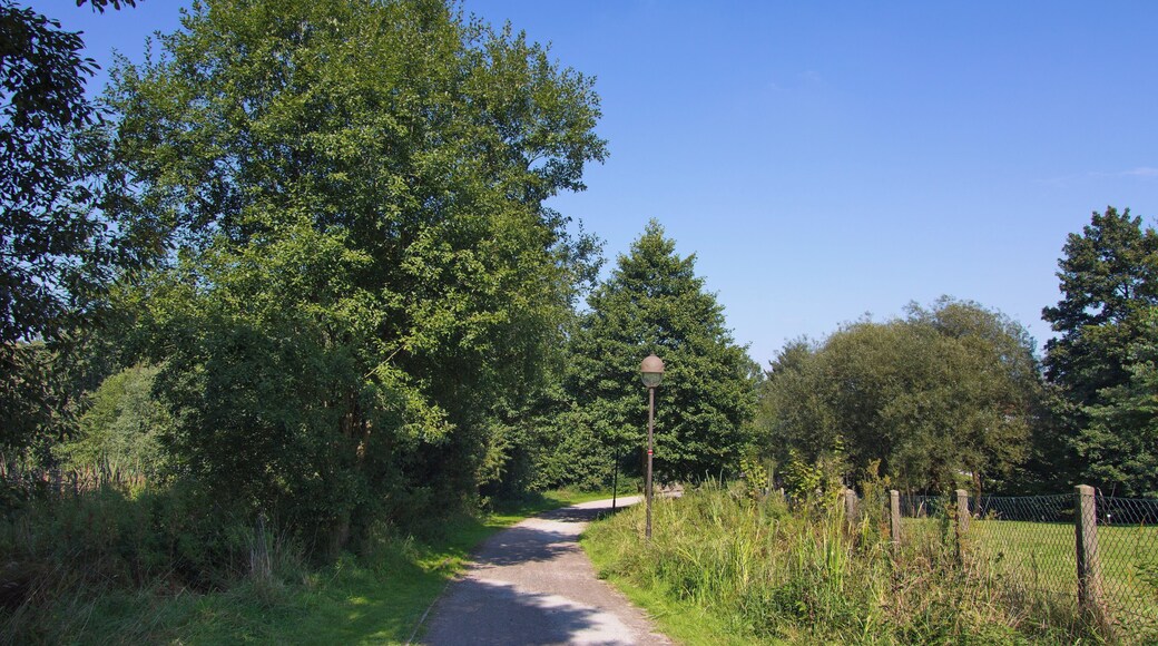 Bad Fallingbostel, Niedersachsen, Deutschland