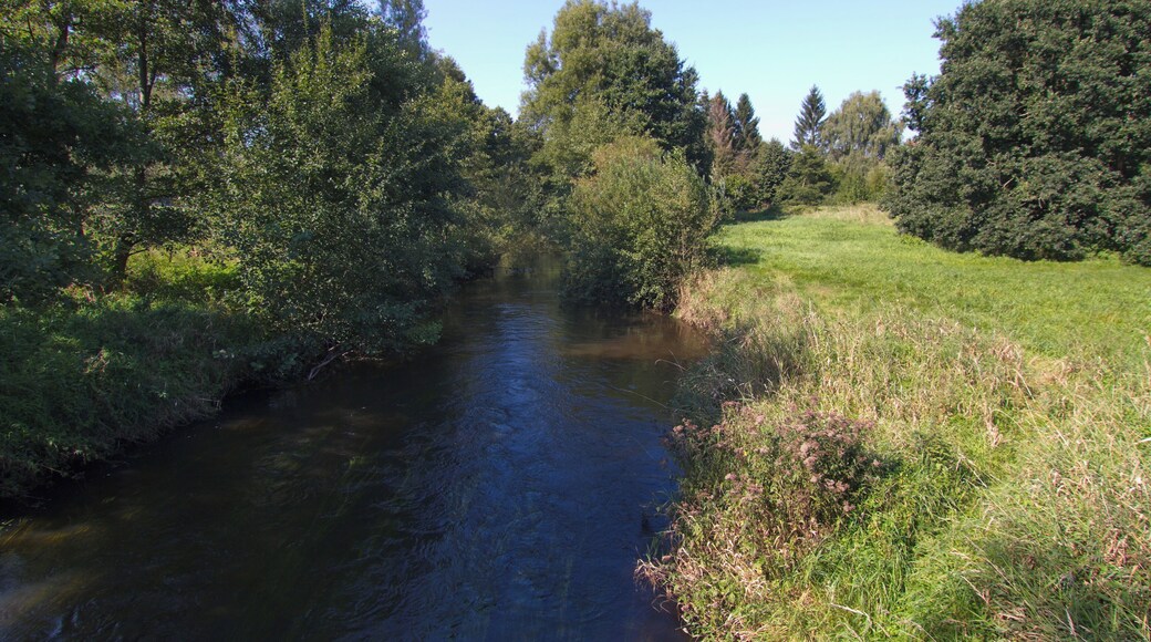 Bad Fallingbostel, Niedersachsen, Deutschland