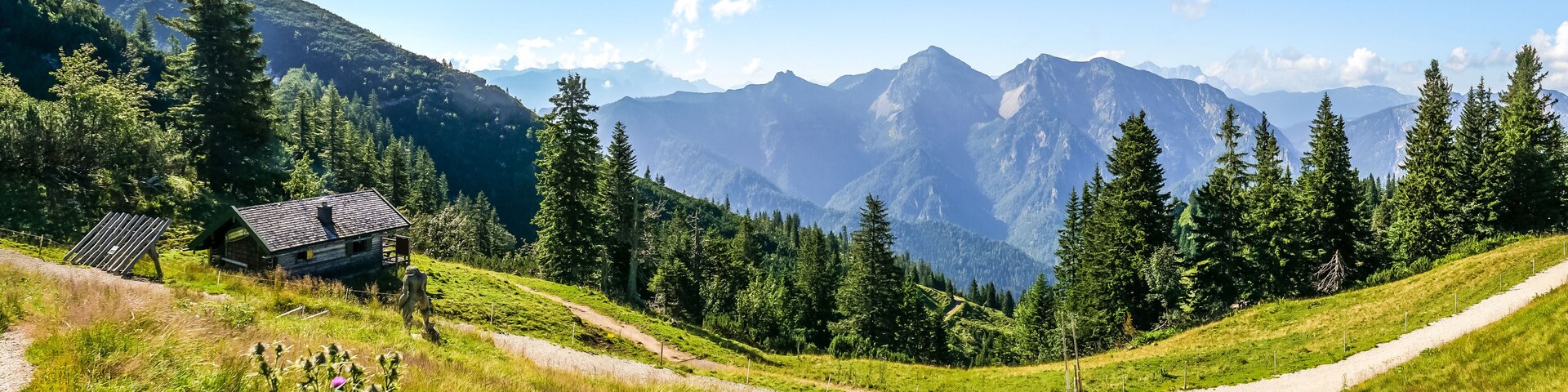 Paisaje montañoso con una cabaña, un sendero de tierra y un bosque denso.