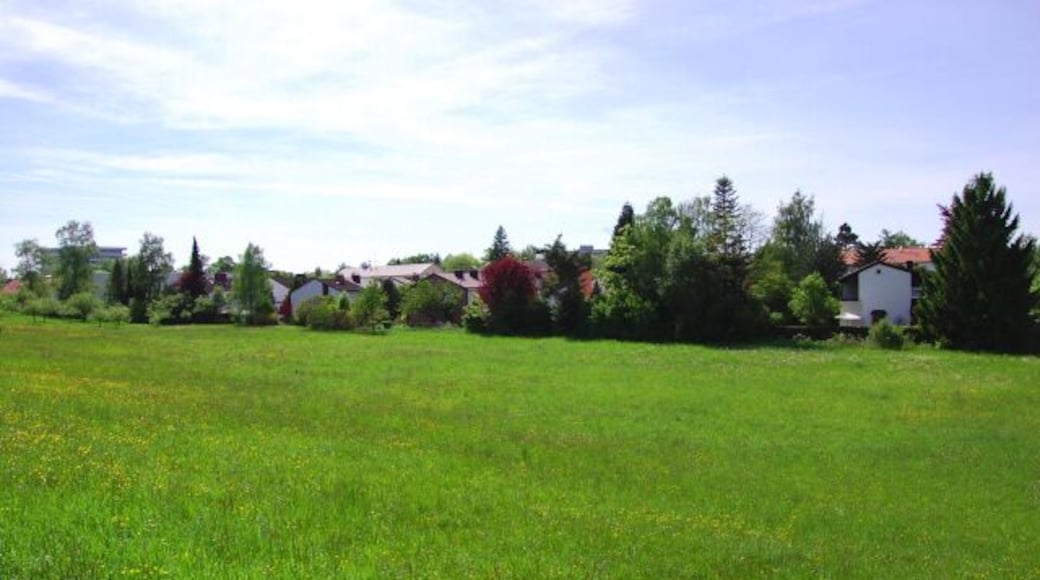 Planegg: Wiese am Lichtweg