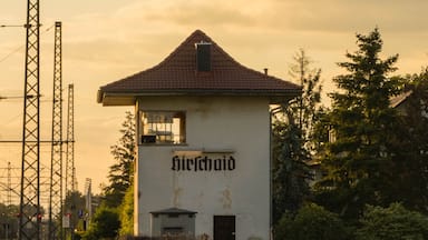 A white building with a red roof and the word 'Birchwood' on its facade, surrounded by greenery and a dirt path.