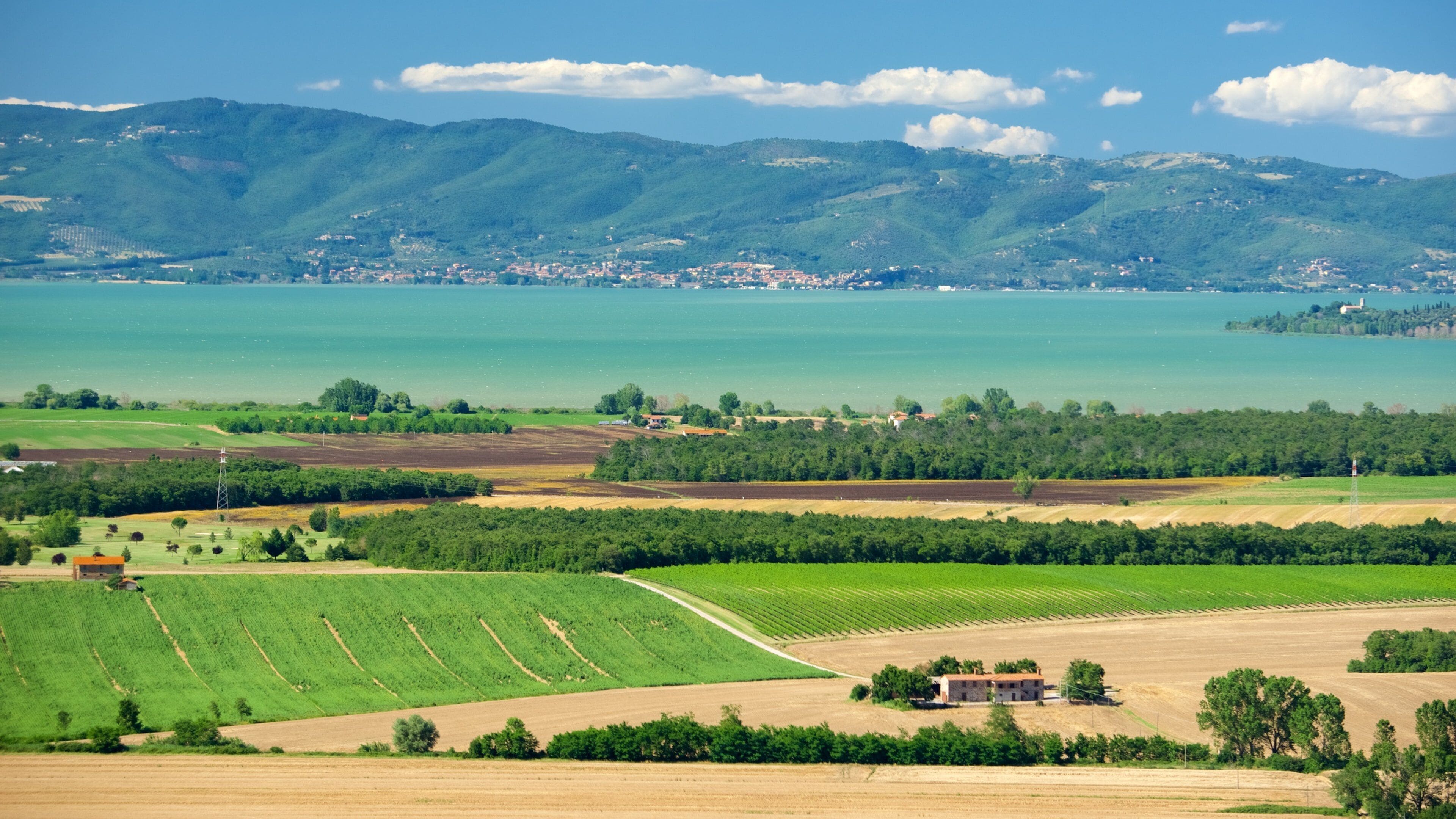 Panicale som viser landskap, åkre og kyst