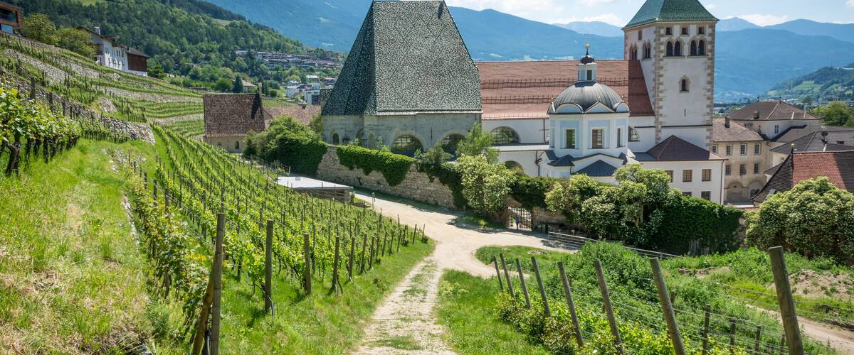 A vineyard path leading to a historic building with a tower, surrounded by lush greenery and mountains.