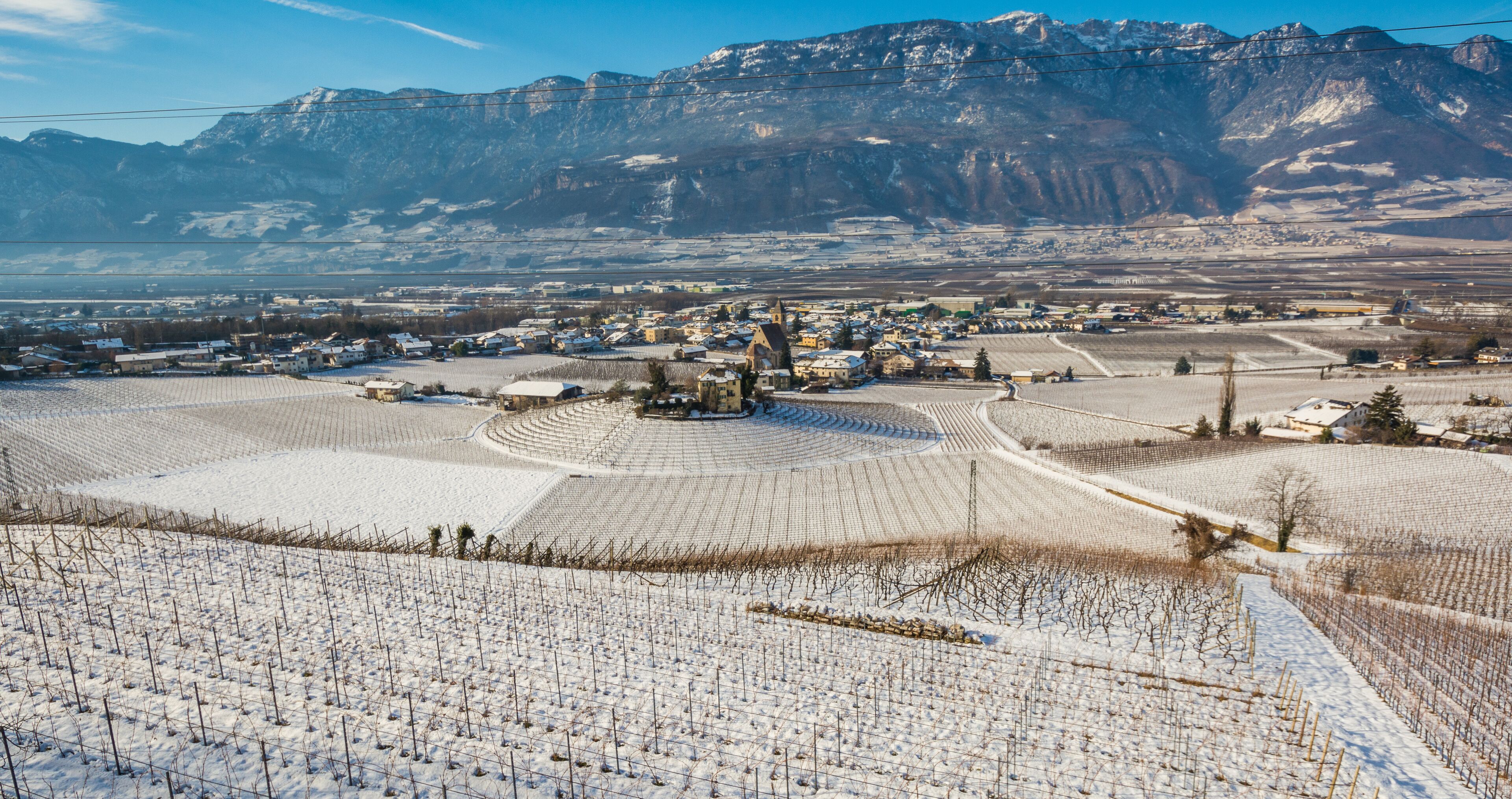 A snow-covered vineyard with a town in the valley and mountains in the background.