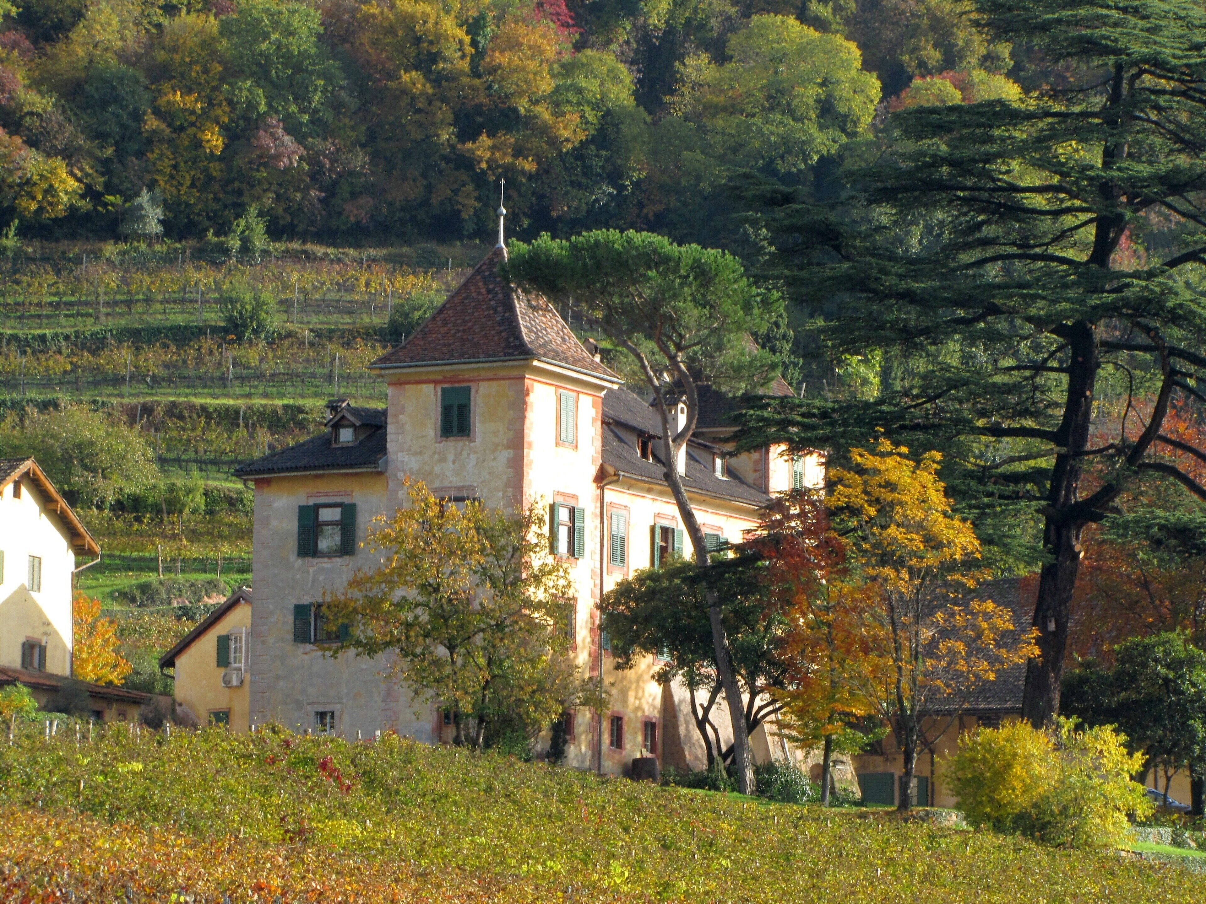 Ein historisches Gebäude mit einem Turm, umgeben von Herbstlaub und Weinbergen.