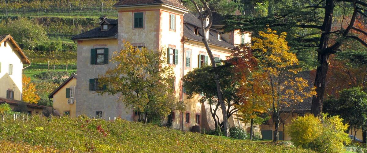 Edifici històric amb una torre, envoltat de fullatge d'octubre i vinyes.