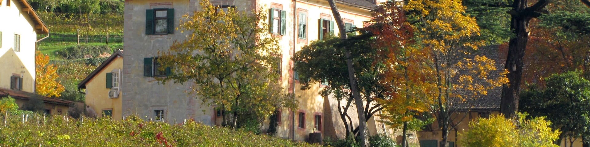 A historic building with a tower, surrounded by autumn foliage and vineyards.