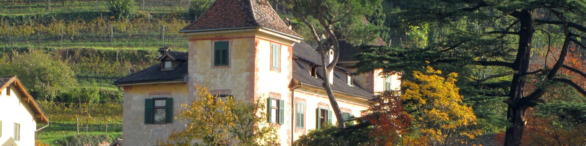 Un edificio histórico con una torre, rodeado de follaje otoñal y viñedos.