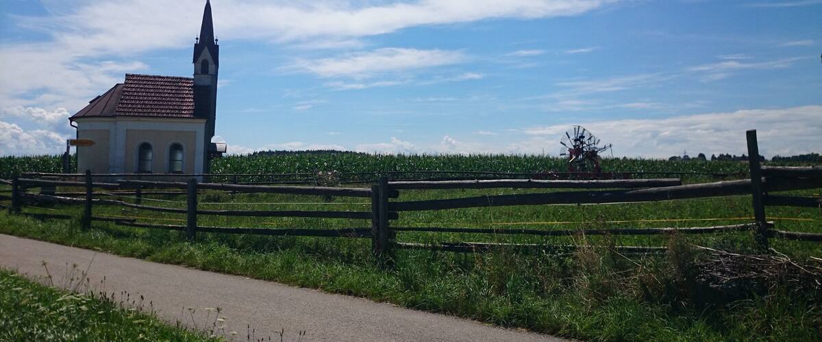 A church with a tall steeple, surrounded by a wooden fence and a cornfield.