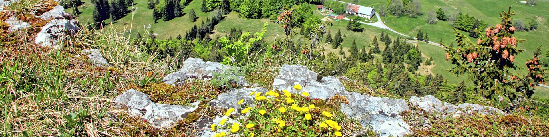 Les lacs de Bellefontaine et des mortes vus depuis le belvédÚre de la roche Bernard.