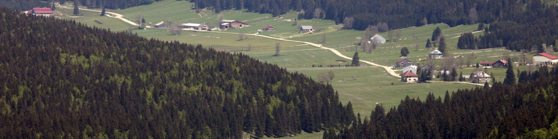 La combe des Cives vue depuis la Roche Bernard.