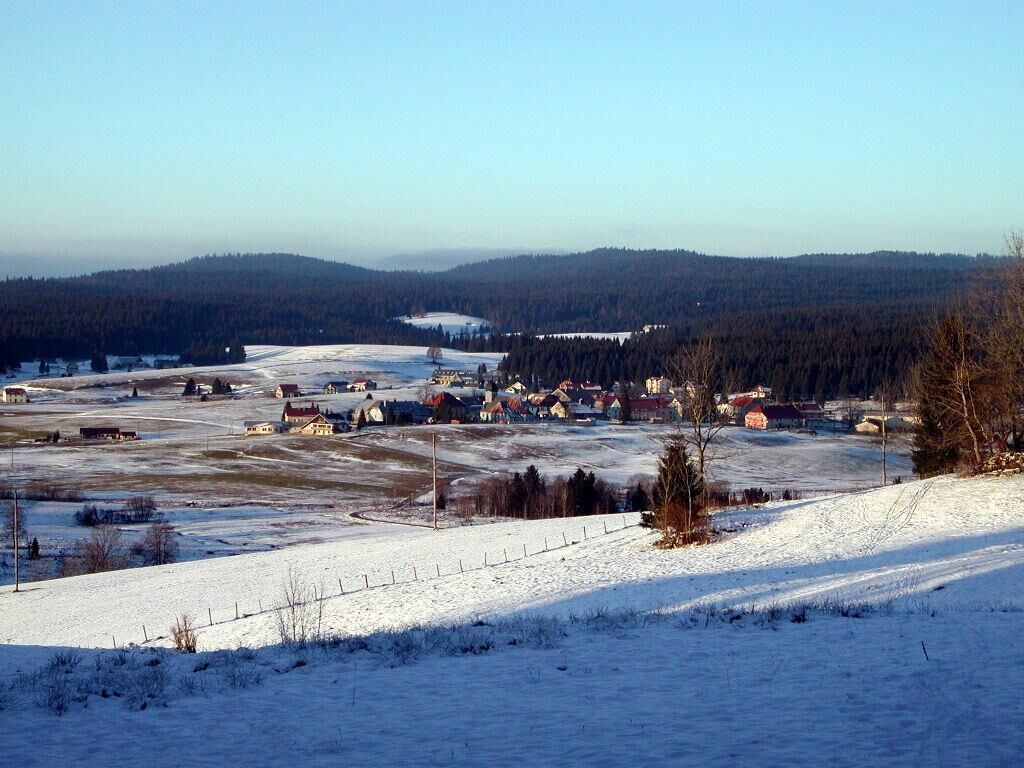 A snowy landscape with a small village, houses, and a forested hill in the background.