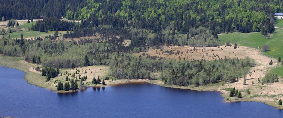 Le lac de Bellefontaine et ses tourbières vu du belvédère de la Roche Bernard.