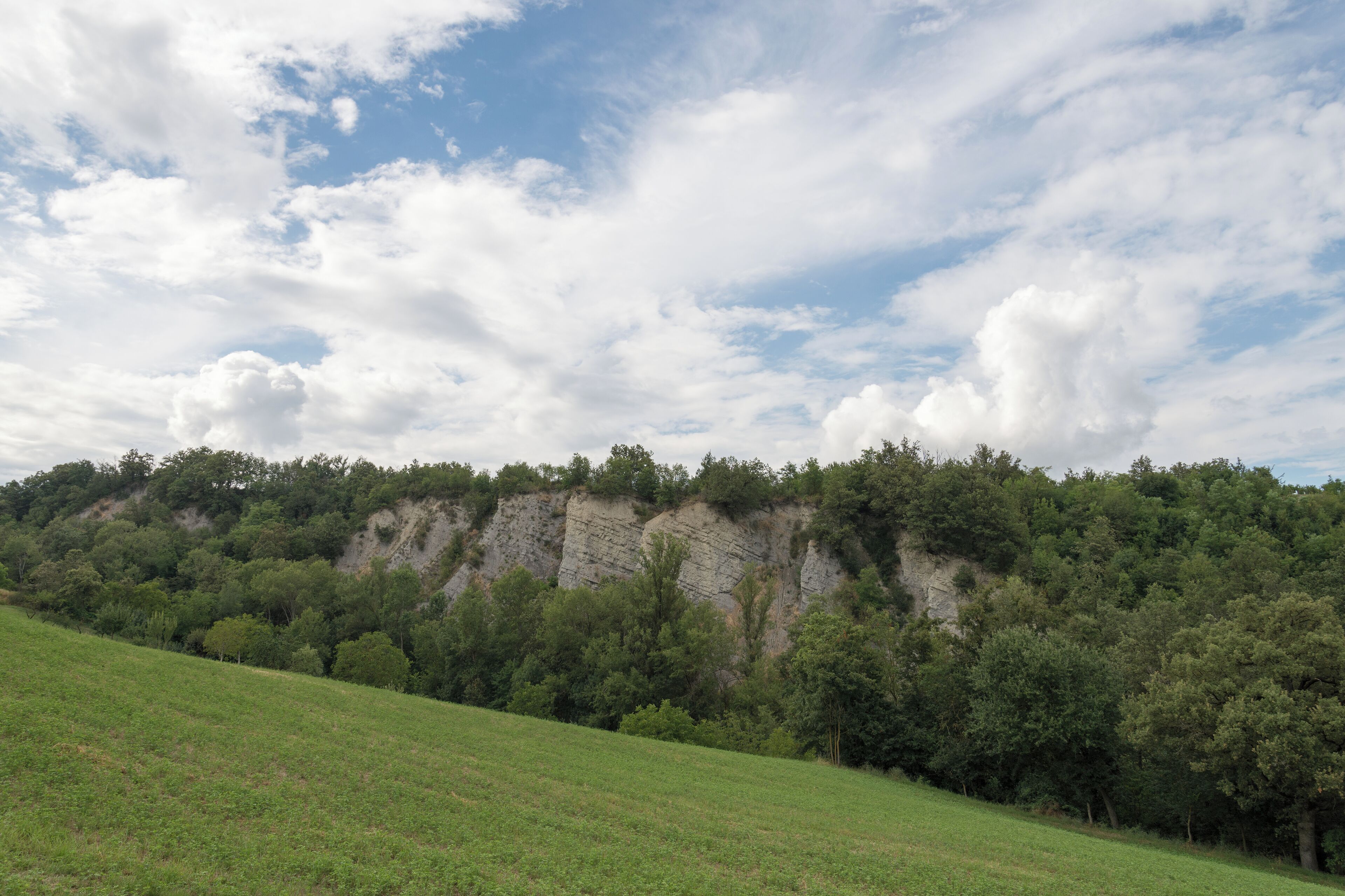 Appennino Reggiano - Viano (RE) Italia - 13 Luglio 2014