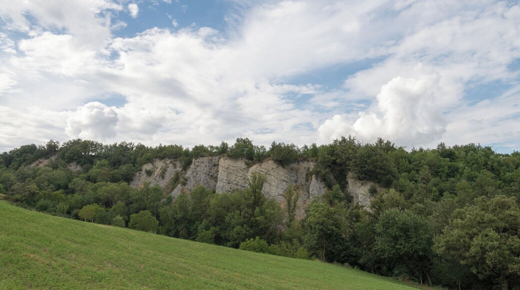 Appennino Reggiano - Viano (RE) Italia - 13 Luglio 2014